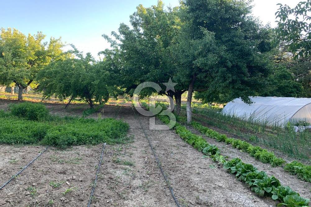 ÇUBUK TAŞPINARDA ASVALT YOLA ÇEPHE SATILIK ÇİFLİK EVİ