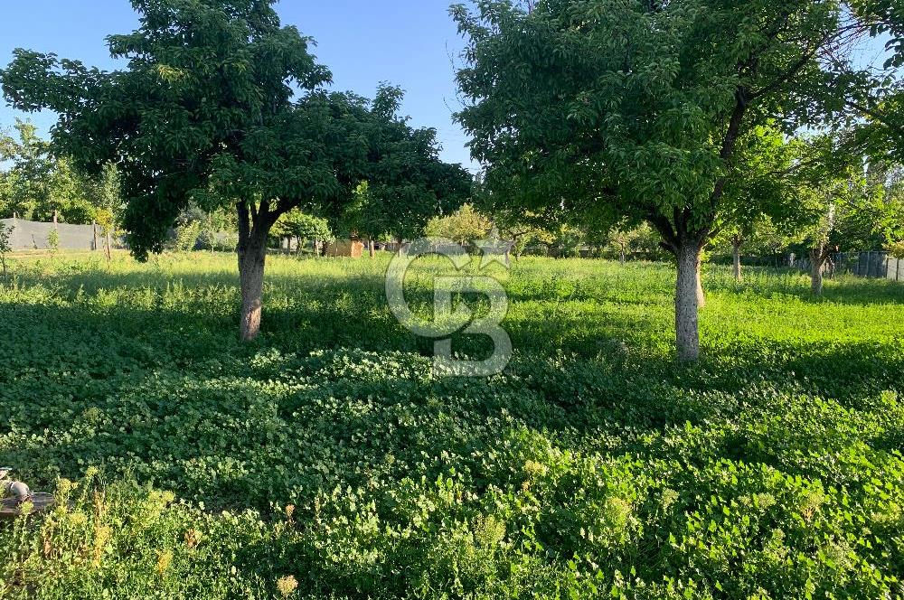 ÇUBUK TAŞPINARDA ASVALT YOLA ÇEPHE SATILIK ÇİFLİK EVİ