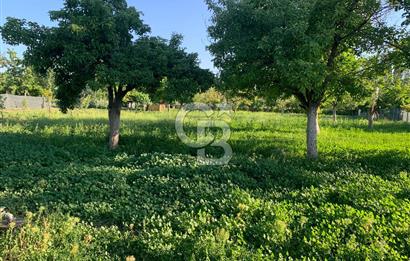 ÇUBUK TAŞPINARDA ASVALT YOLA ÇEPHE SATILIK ÇİFLİK EVİ