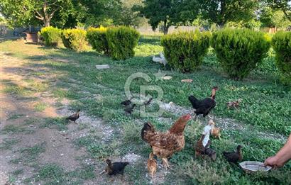 ÇUBUK TAŞPINARDA ASVALT YOLA ÇEPHE SATILIK ÇİFLİK EVİ