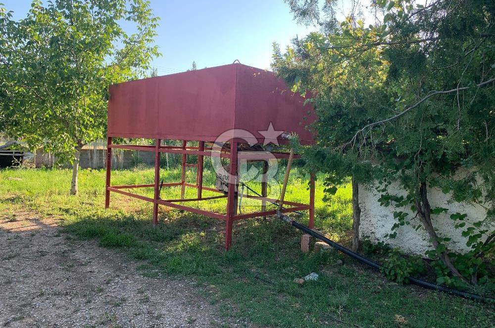 ÇUBUK TAŞPINARDA ASVALT YOLA ÇEPHE SATILIK ÇİFLİK EVİ