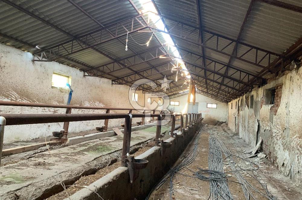 ÇUBUK TAŞPINARDA ASVALT YOLA ÇEPHE SATILIK ÇİFLİK EVİ