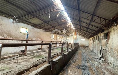 ÇUBUK TAŞPINARDA ASVALT YOLA ÇEPHE SATILIK ÇİFLİK EVİ