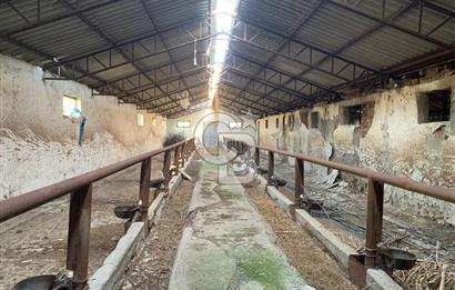 ÇUBUK TAŞPINARDA ASVALT YOLA ÇEPHE SATILIK ÇİFLİK EVİ