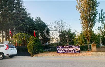 ÇUBUK TAŞPINARDA ASVALT YOLA ÇEPHE SATILIK ÇİFLİK EVİ