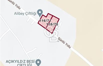 ÇUBUK TAŞPINARDA ASVALT YOLA ÇEPHE SATILIK ÇİFLİK EVİ