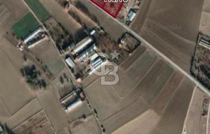 ÇUBUK TAŞPINARDA ASVALT YOLA ÇEPHE SATILIK ÇİFLİK EVİ