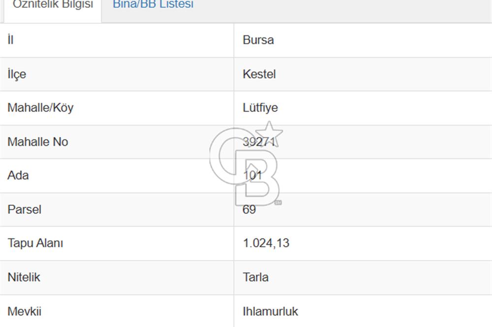 CB AMBIANCE'DAN KESTEL LÜTFİYE KÖYÜ'NDE SATILIK HİSSELİ TARLA