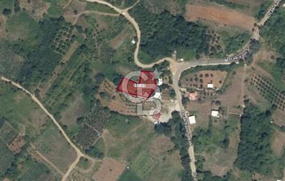 CB AMBIANCE'DAN KESTEL LÜTFİYE KÖYÜ'NDE SATILIK HİSSELİ TARLA