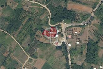CB AMBIANCE'DAN KESTEL LÜTFİYE KÖYÜ'NDE SATILIK HİSSELİ TARLA