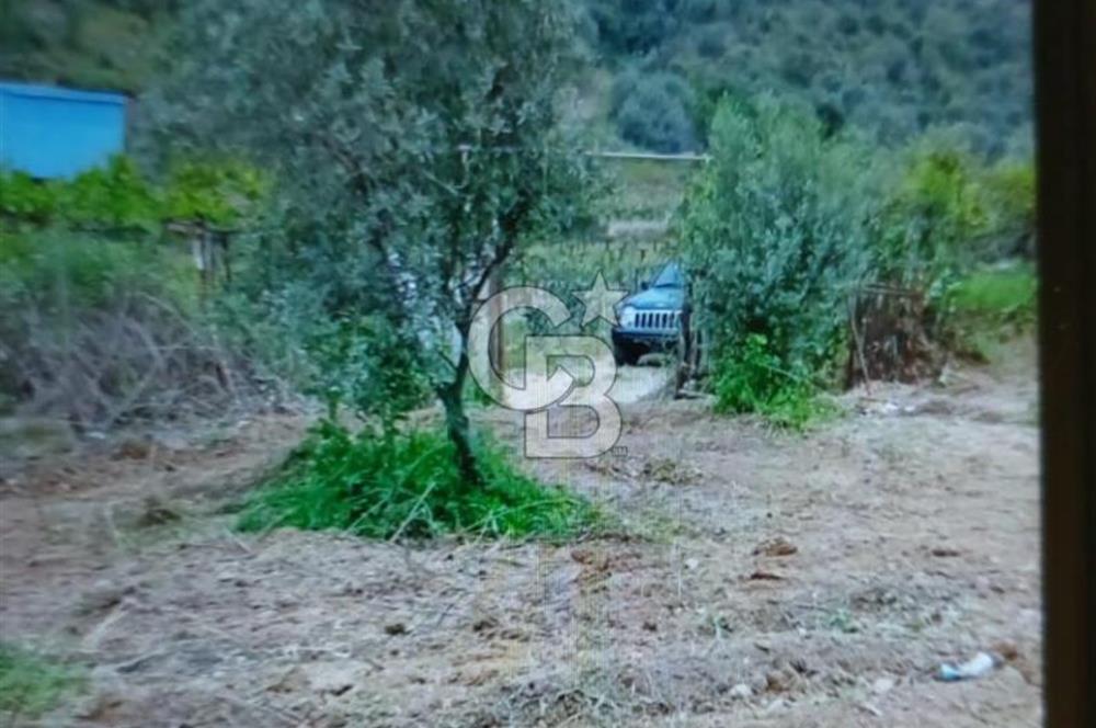 Beyler Baraj Manzaralı 2837 m2 Satılık Bağ ve Kayıtlı Evi