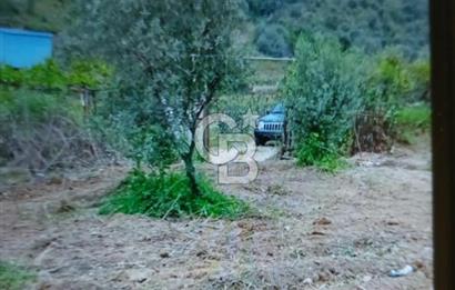 Beyler Baraj Manzaralı 2837 m2 Satılık Bağ ve Kayıtlı Evi