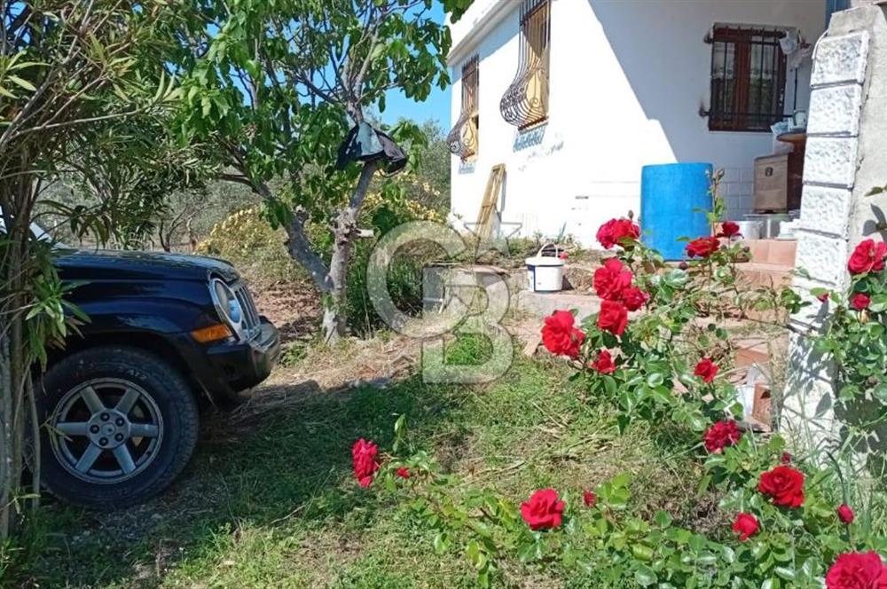 Beyler Baraj Manzaralı 2837 m2 Satılık Bağ ve Kayıtlı Evi