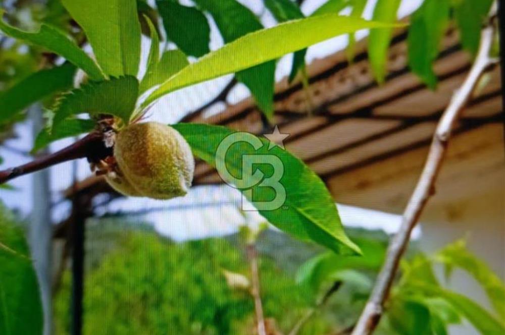 Beyler Baraj Manzaralı 2837 m2 Satılık Bağ ve Kayıtlı Evi