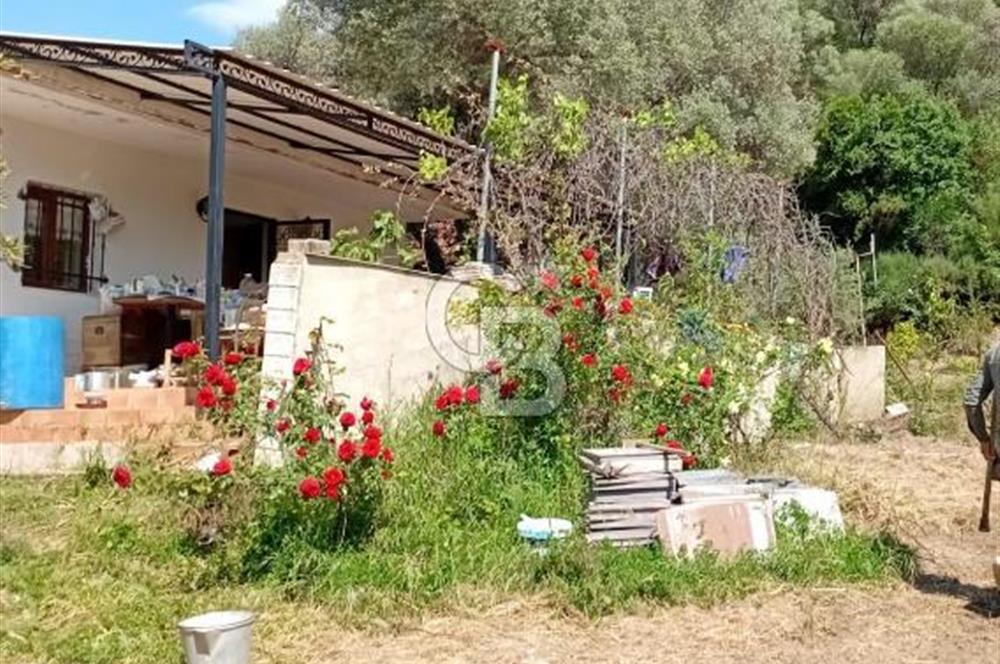 Beyler Baraj Manzaralı 2837 m2 Satılık Bağ ve Kayıtlı Evi