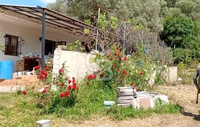 Beyler Baraj Manzaralı 2837 m2 Satılık Bağ ve Kayıtlı Evi