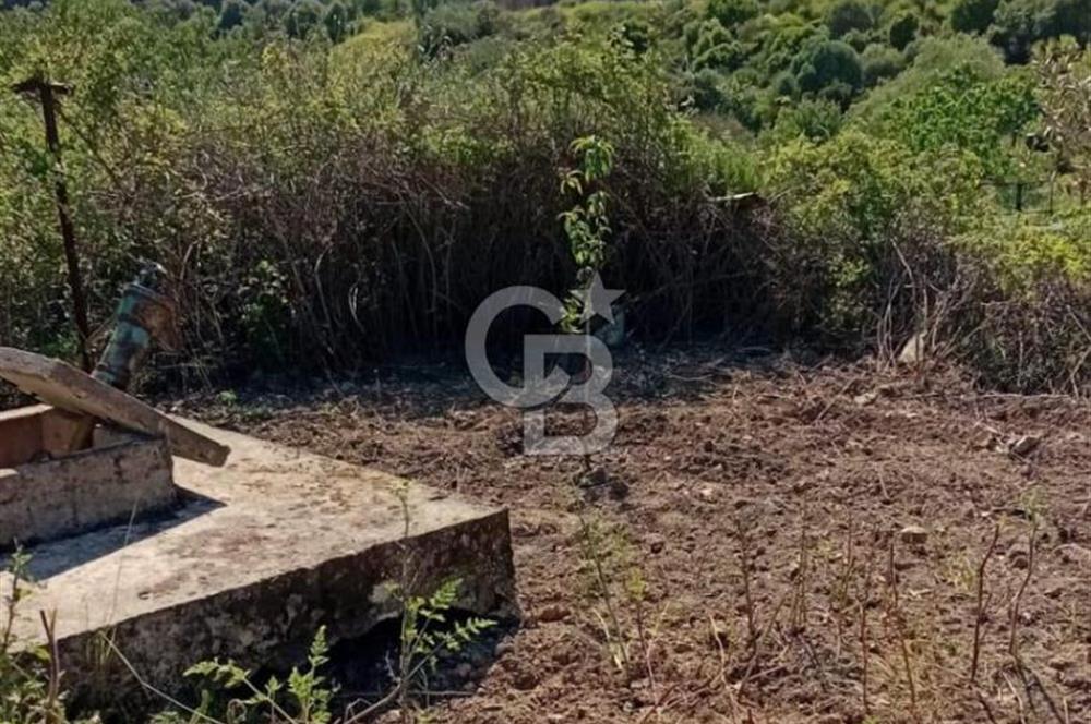 Beyler Baraj Manzaralı 2837 m2 Satılık Bağ ve Kayıtlı Evi