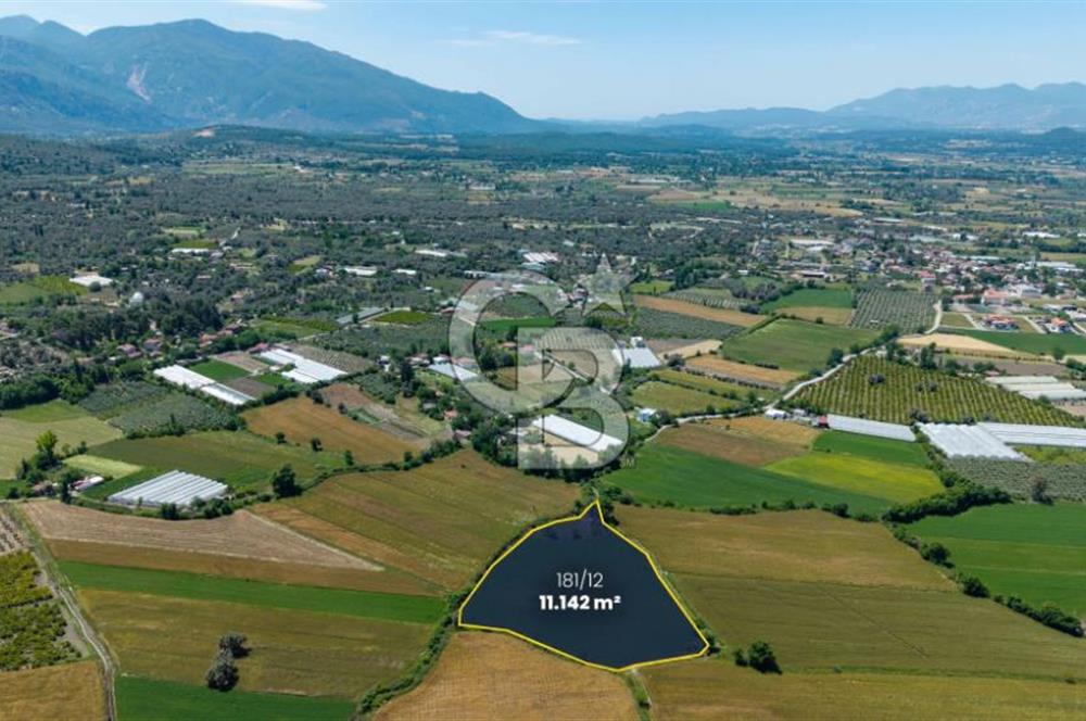 Organik Tarım ve Yatırım Fırsatı - Muğla Seydikemer'de 11.142 m² Müstakil Tarla
