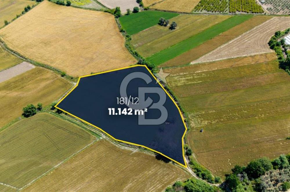 Organik Tarım ve Yatırım Fırsatı - Muğla Seydikemer'de 11.142 m² Müstakil Tarla