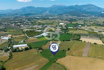 Organik Tarım ve Yatırım Fırsatı - Muğla Seydikemer'de 11.142 m² Müstakil Tarla