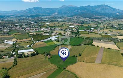 Organik Tarım ve Yatırım Fırsatı - Muğla Seydikemer'de 11.142 m² Müstakil Tarla