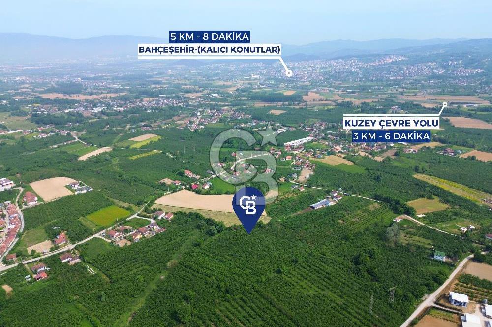 CB ENVOY'dan Düzce Musababa'da İmar Sınırında 6.163m2 Tarla