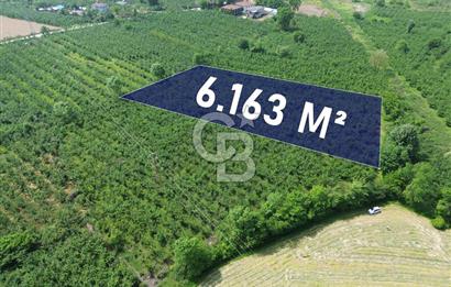 CB ENVOY'dan Düzce Musababa'da İmar Sınırında 6.163m2 Tarla