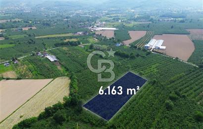 CB ENVOY'dan Düzce Musababa'da İmar Sınırında 6.163m2 Tarla