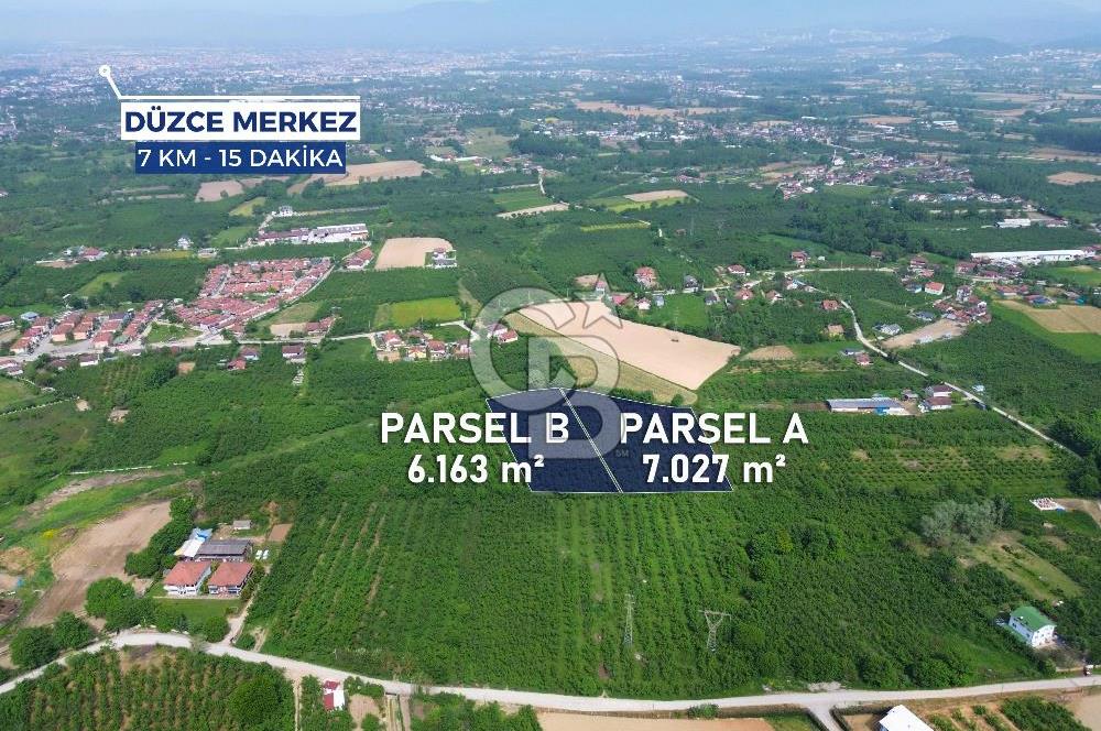 CB ENVOY'dan Düzce Musababa'da İmar Sınırında 6.163m2 Tarla