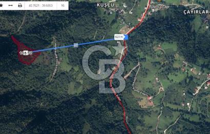 TRABZON MAÇKADA 10 DÖNÜM TEK TAPU SATILIK ARAZİ