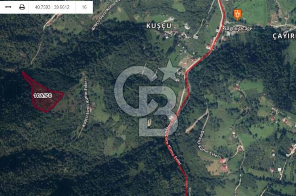 TRABZON MAÇKADA 10 DÖNÜM TEK TAPU SATILIK ARAZİ