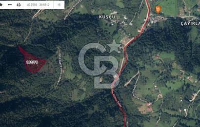TRABZON MAÇKADA 10 DÖNÜM TEK TAPU SATILIK ARAZİ