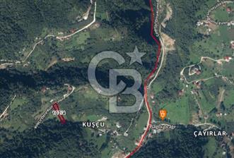 TRABZON MAÇKADA 1450 m2 YOLA CEPHE SATILIK ARAZİ