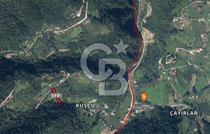 TRABZON MAÇKADA 1450 m2 YOLA CEPHE SATILIK ARAZİ