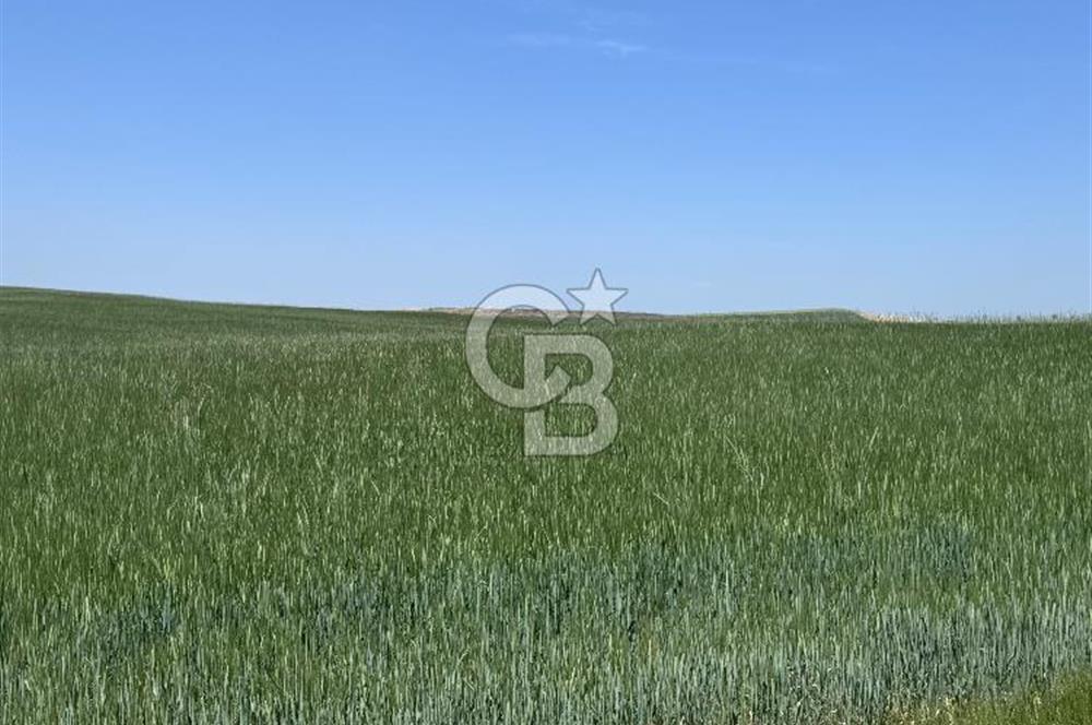 CB CITY’DEN ESKİŞEHİR BATIKENT MAHALLESİNDE SATILIK TARLA