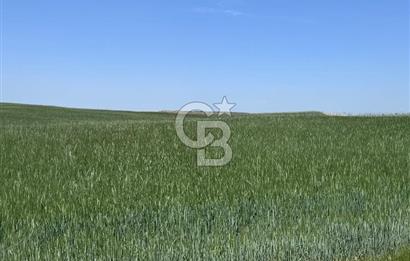 CB CITY’DEN ESKİŞEHİR BATIKENT MAHALLESİNDE SATILIK TARLA