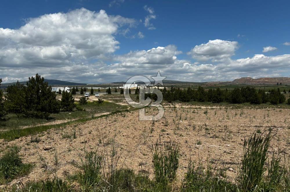 CB CITY'DEN ESKİŞEHİR KÜTAHYA ÇEVRE YOLU KENARI YOLU OLAN TARLA