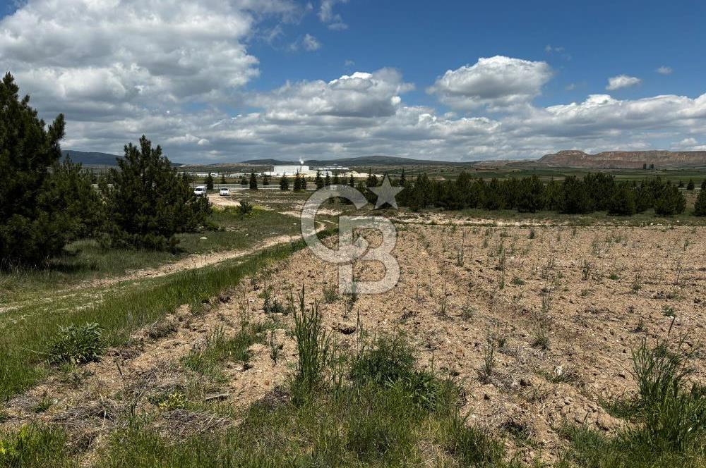 CB CITY'DEN ESKİŞEHİR KÜTAHYA ÇEVRE YOLU KENARI YOLU OLAN TARLA