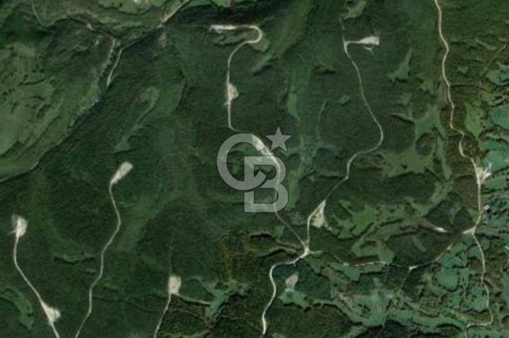 Kırklareli Vize Küçükyayla Köyünde 11.548 m² Tarla CB-PH