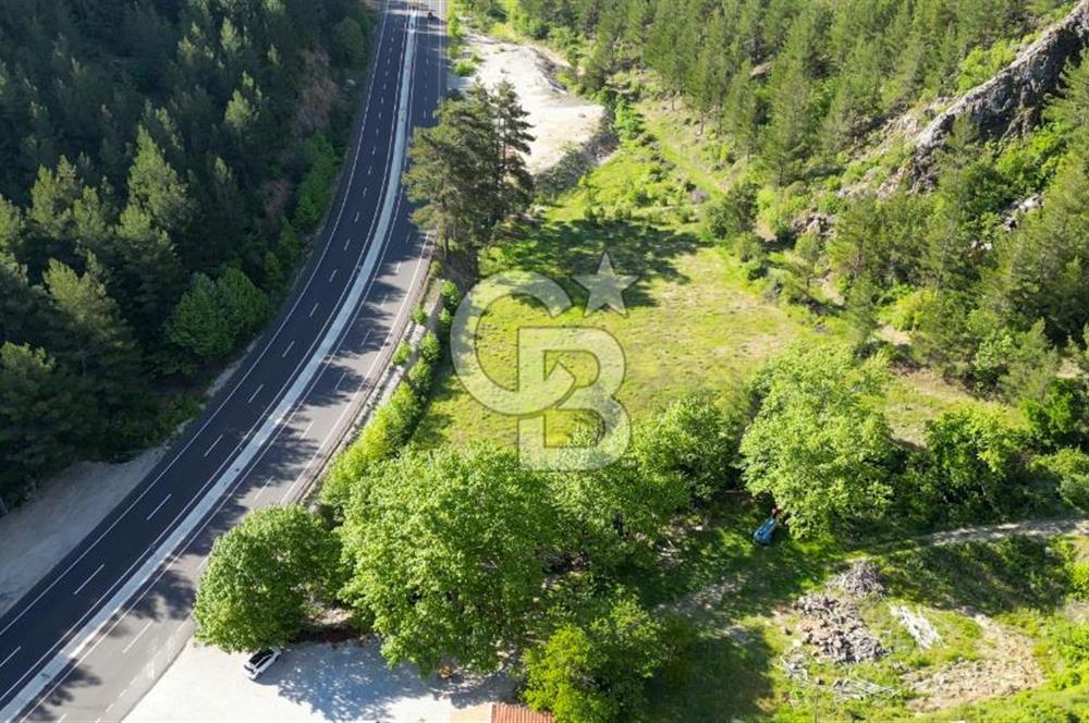 Menteşe'de Muğla-Denizli Yoluna Sıfır 6525 m2 Satılık Tarla
