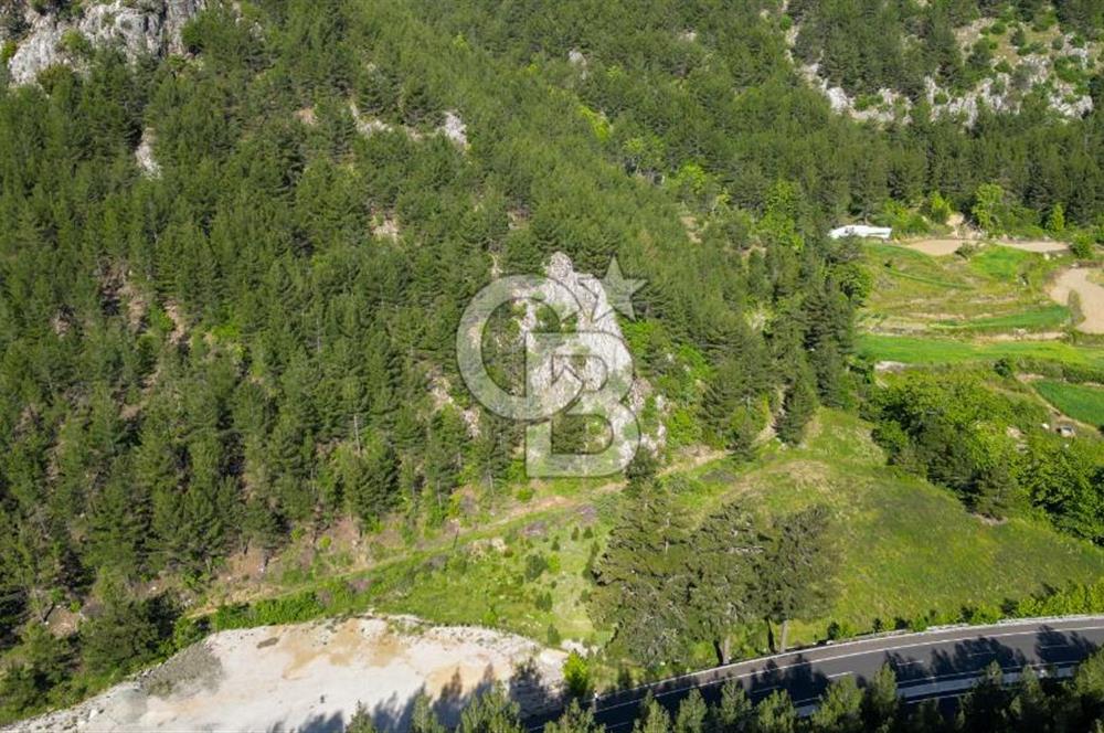 Menteşe'de Muğla-Denizli Yoluna Sıfır 6525 m2 Satılık Tarla