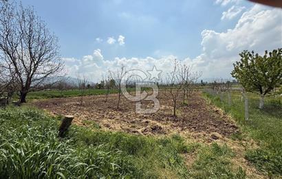 CB AMBIANCE'DAN İNEGÖL / KÜÇÜKYENİCE DE SATILIK TARLA