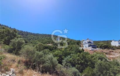 Akbük Çukur Mevkiinde Projeli, Panoramik Deniz Manzaralı Arsa!
