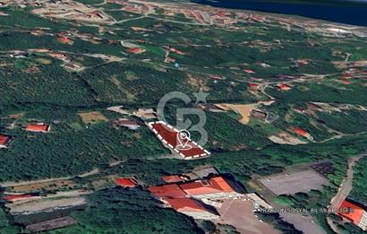 TRABZON ÇİMENLİ'DE EĞİMSİZ, ANAYOLA YAKIN 1136 M2 SATILIK ARAZİ