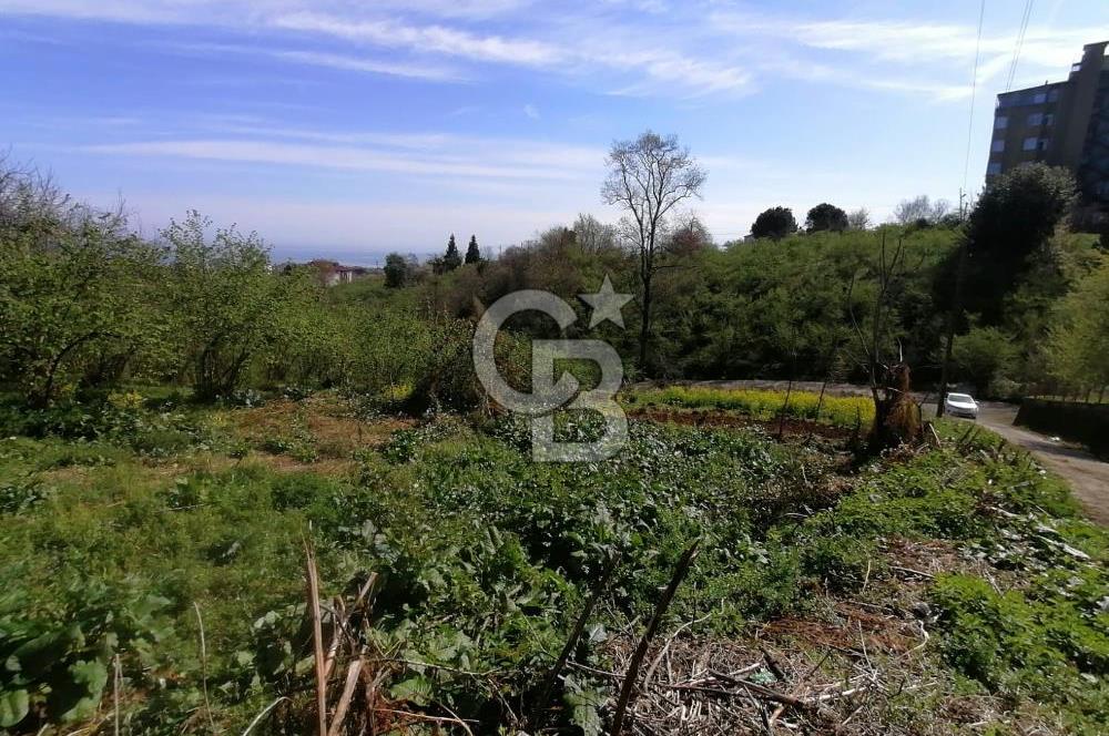 TRABZON ÇİMENLİ'DE EĞİMSİZ, ANAYOLA YAKIN 1136 M2 SATILIK ARAZİ