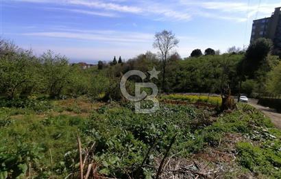 TRABZON ÇİMENLİ'DE EĞİMSİZ, ANAYOLA YAKIN 1136 M2 SATILIK ARAZİ