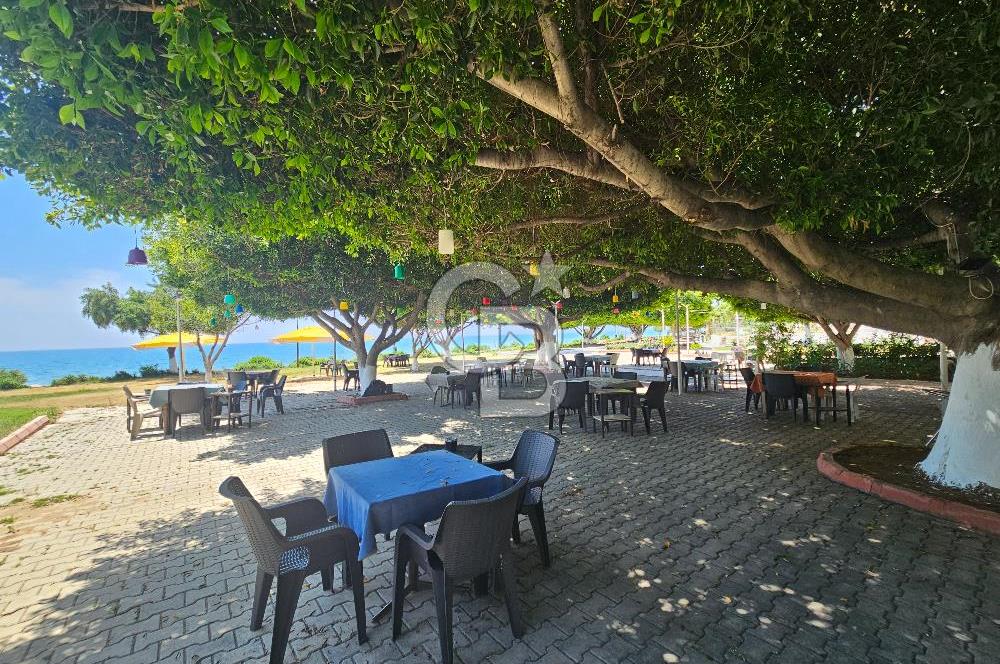 Mersin Mezitli de Denize Sıfır Eşyalı Kiralık Daire