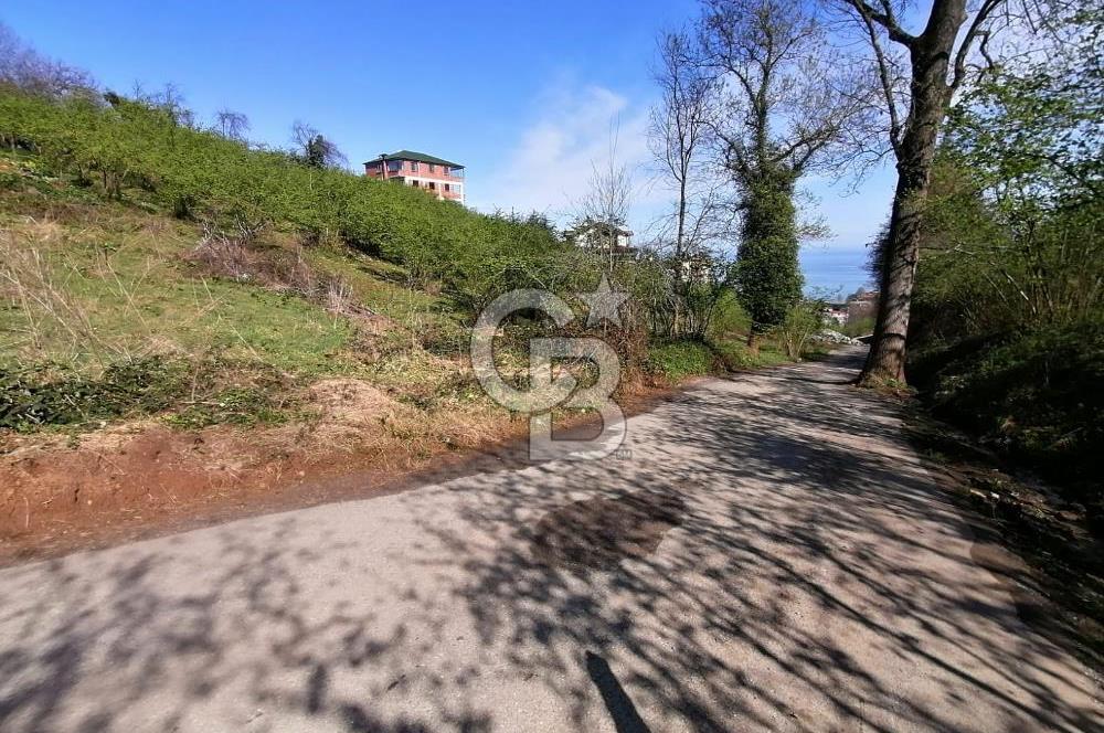 TRABZON ÇİMENLİ'DE EĞİMSİZ, ANAYOLA YAKIN 1136 M2 SATILIK ARAZİ