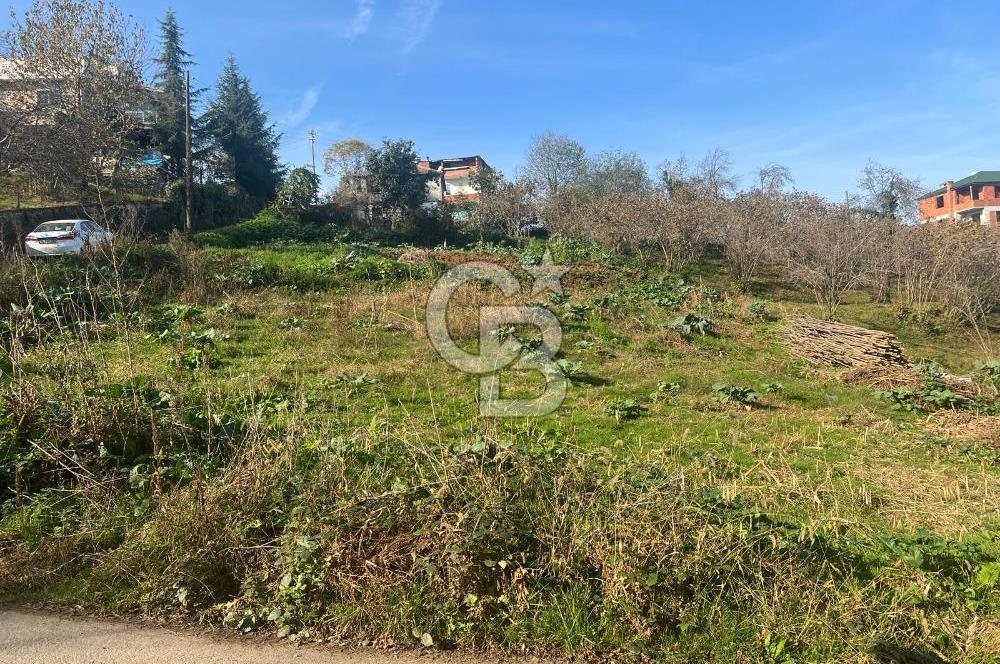 TRABZON ÇİMENLİ'DE EĞİMSİZ, ANAYOLA YAKIN 1136 M2 SATILIK ARAZİ