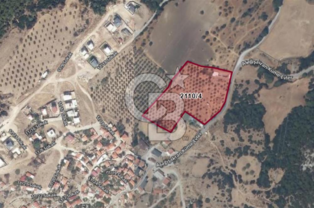 ALİAĞA AŞAĞIŞAKRANDA DENİZ MANZARALI 12.5 DÖNÜM TARLA VE ÇİFTLİK